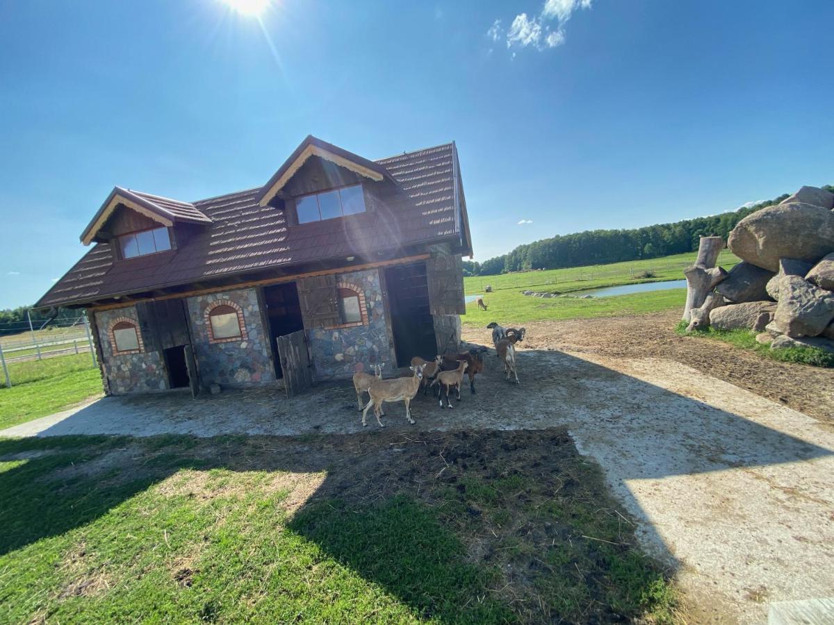 Hotel Sebory Przasnysz Exteriör bild
